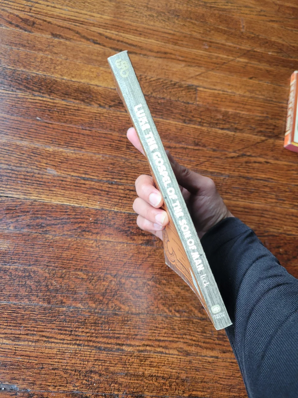 LUKE The Gospel of the Son of Man - Brown Paperback by G. Coleman Luck